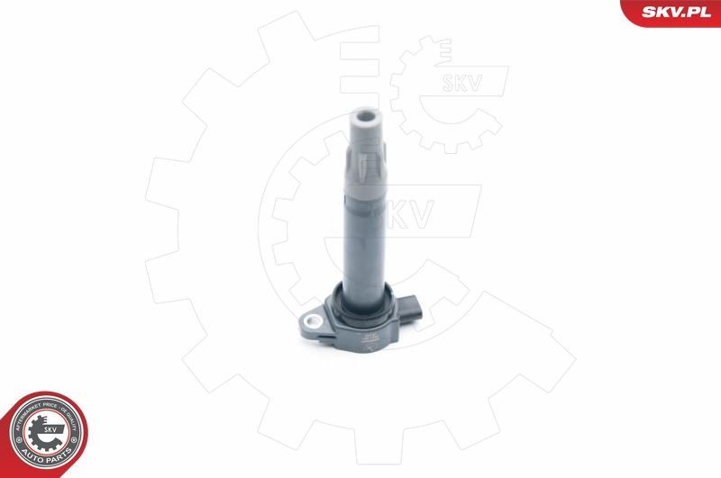 Ritė, uždegimas ESEN SKV 03SKV251