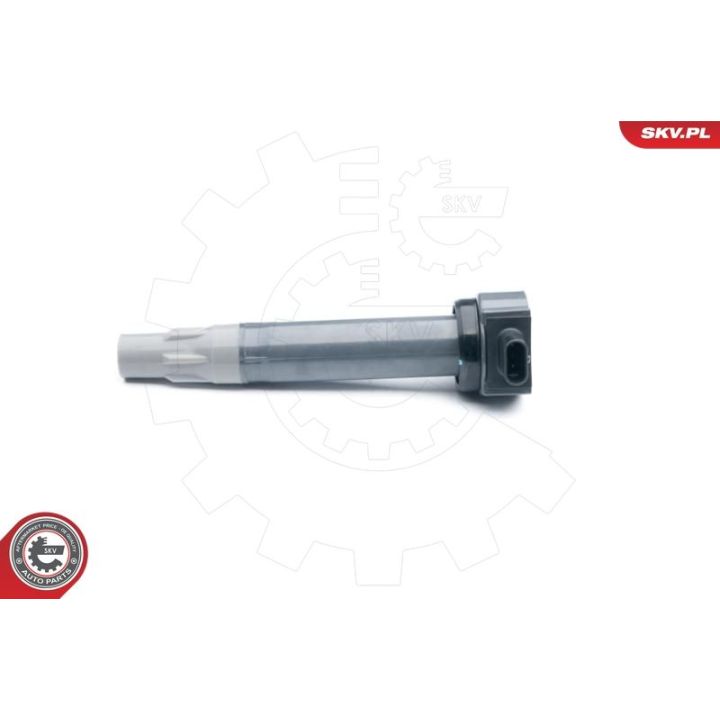 Ritė, uždegimas ESEN SKV 03SKV251