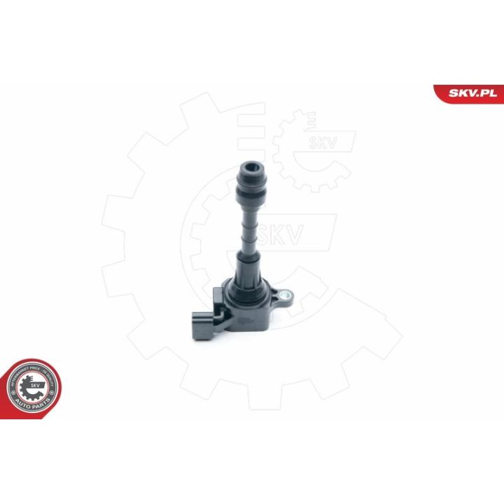 Ritė, uždegimas ESEN SKV 03SKV257