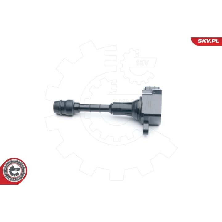 Ritė, uždegimas ESEN SKV 03SKV257