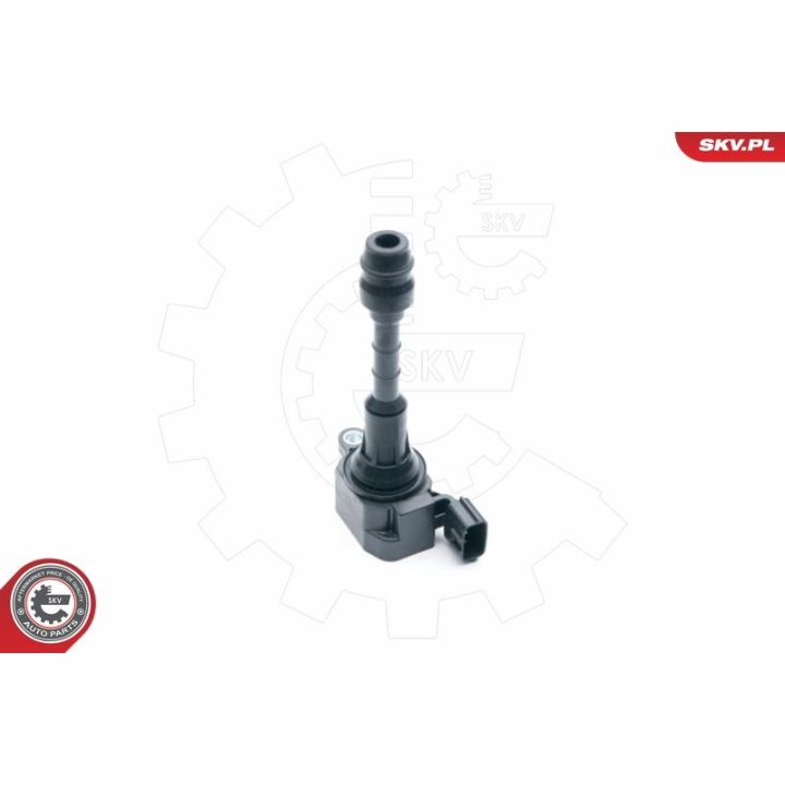 Ritė, uždegimas ESEN SKV 03SKV257