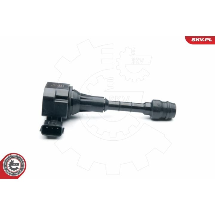 Ritė, uždegimas ESEN SKV 03SKV257