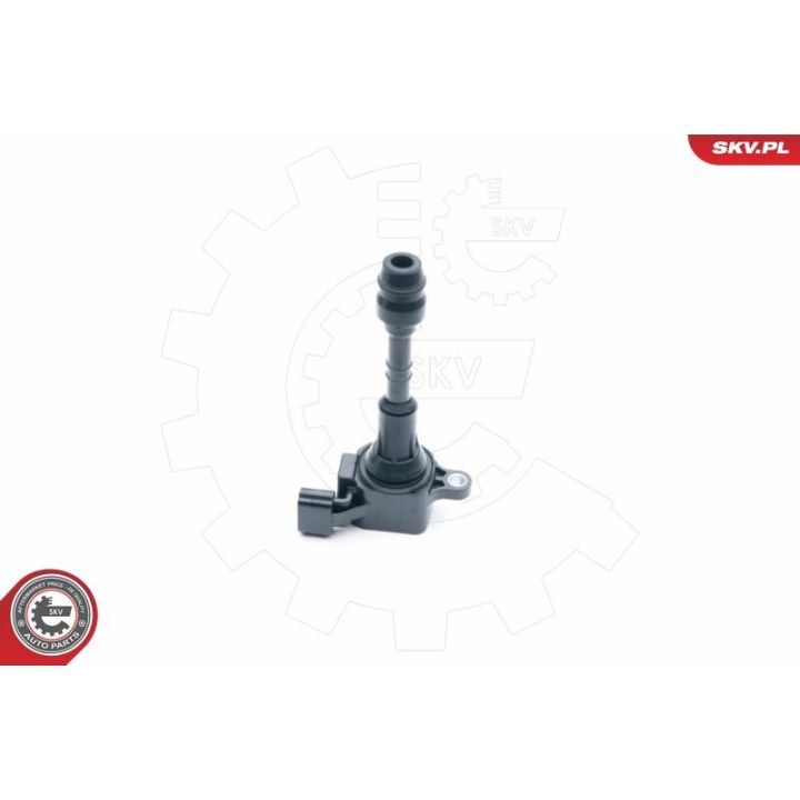 Ritė, uždegimas ESEN SKV 03SKV258