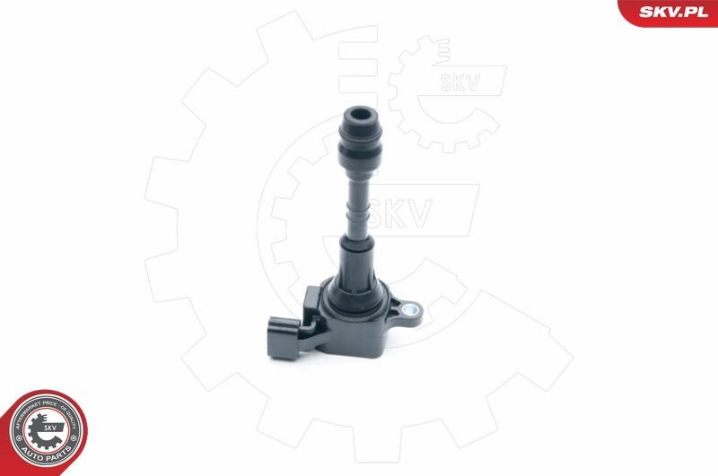 Ritė, uždegimas ESEN SKV 03SKV258