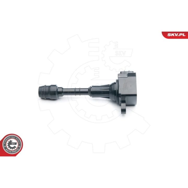 Ritė, uždegimas ESEN SKV 03SKV258