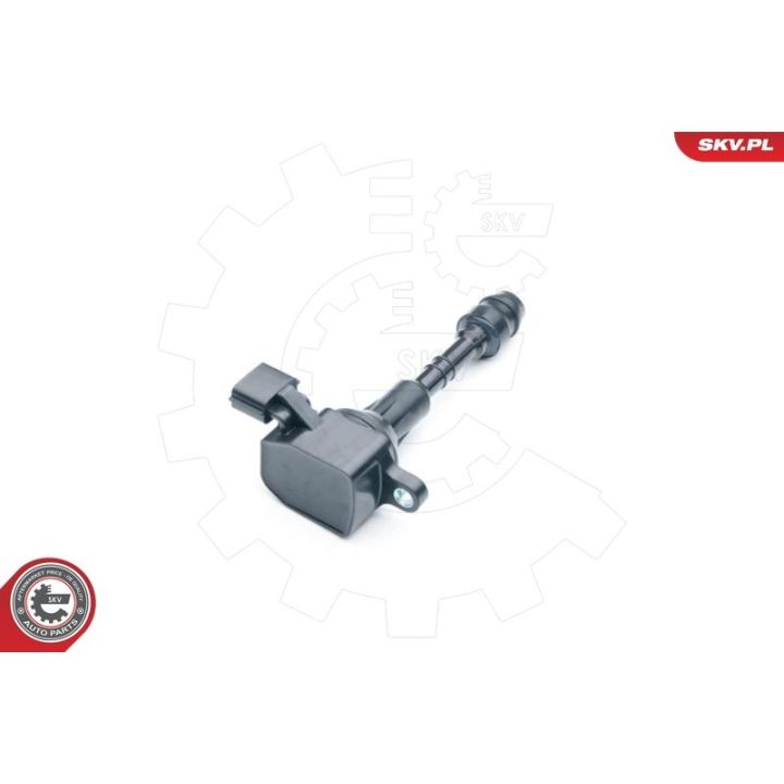 Ritė, uždegimas ESEN SKV 03SKV258