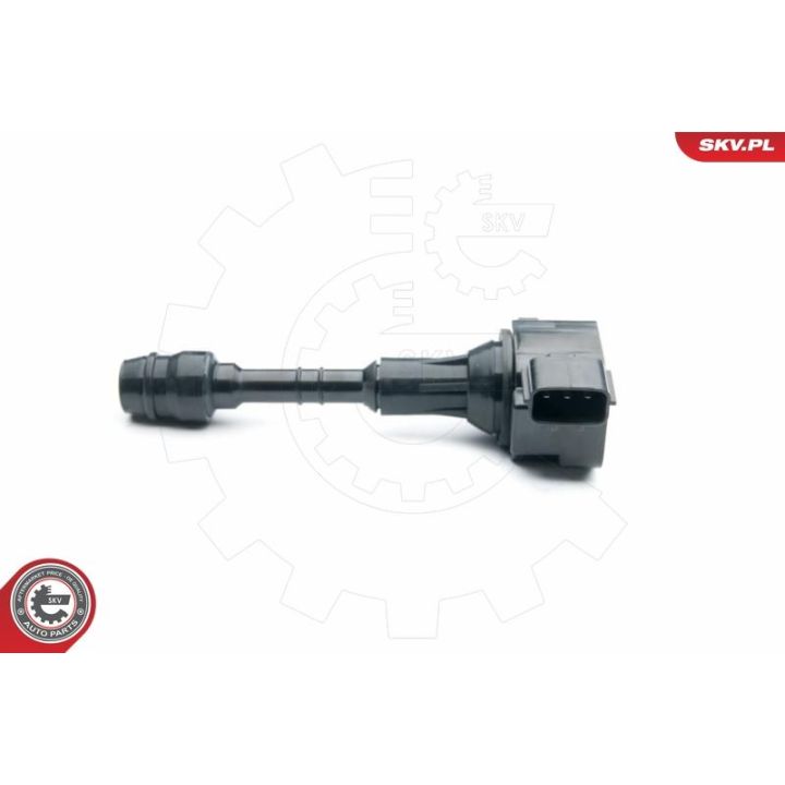 Ritė, uždegimas ESEN SKV 03SKV258