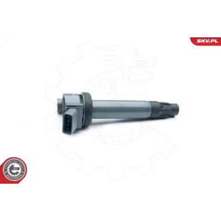 Ritė, uždegimas ESEN SKV 03SKV265