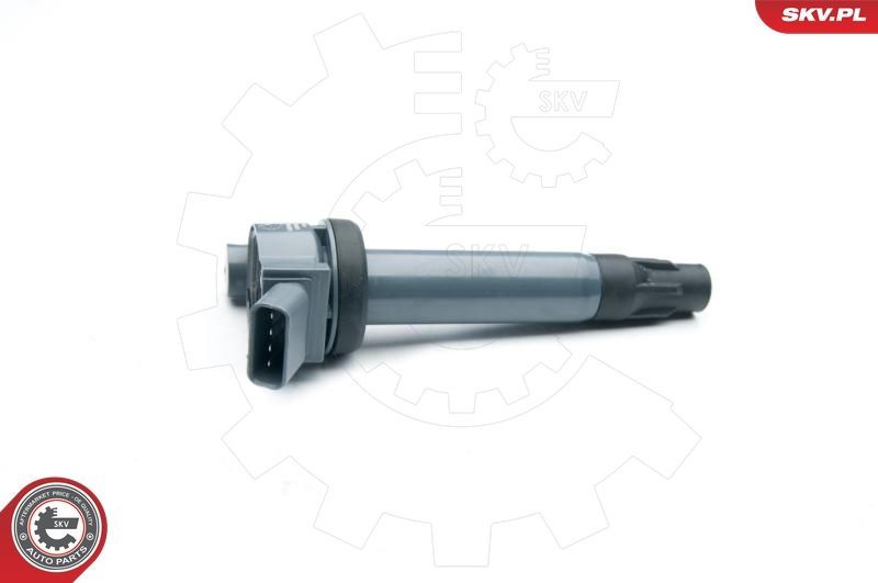 Ritė, uždegimas ESEN SKV 03SKV265