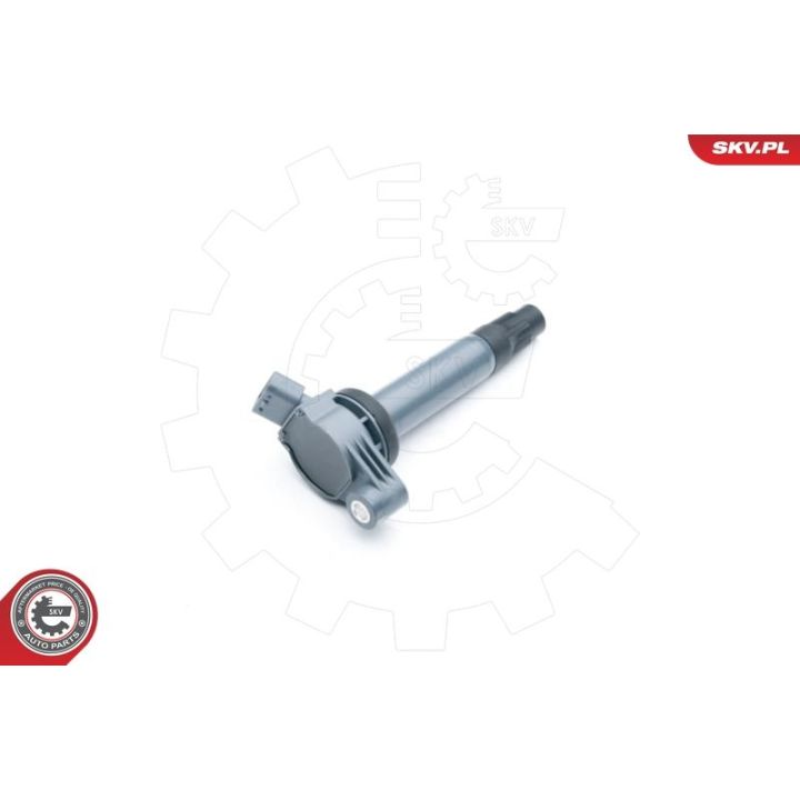 Ritė, uždegimas ESEN SKV 03SKV265