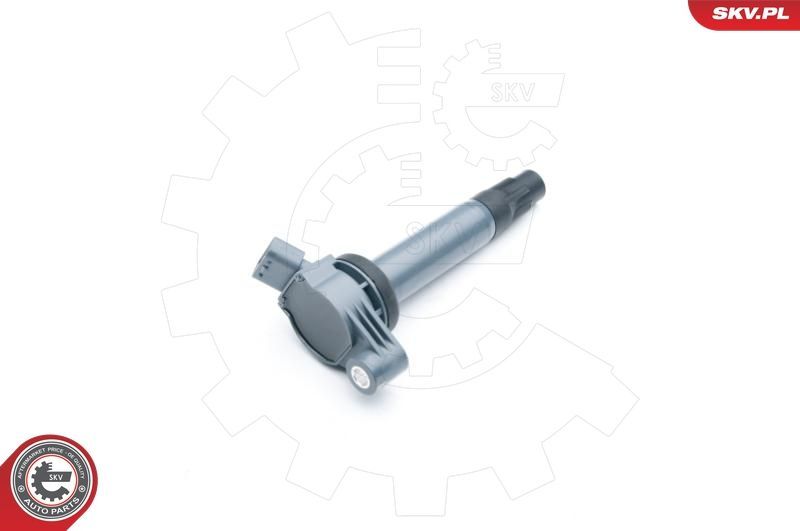 Ritė, uždegimas ESEN SKV 03SKV265