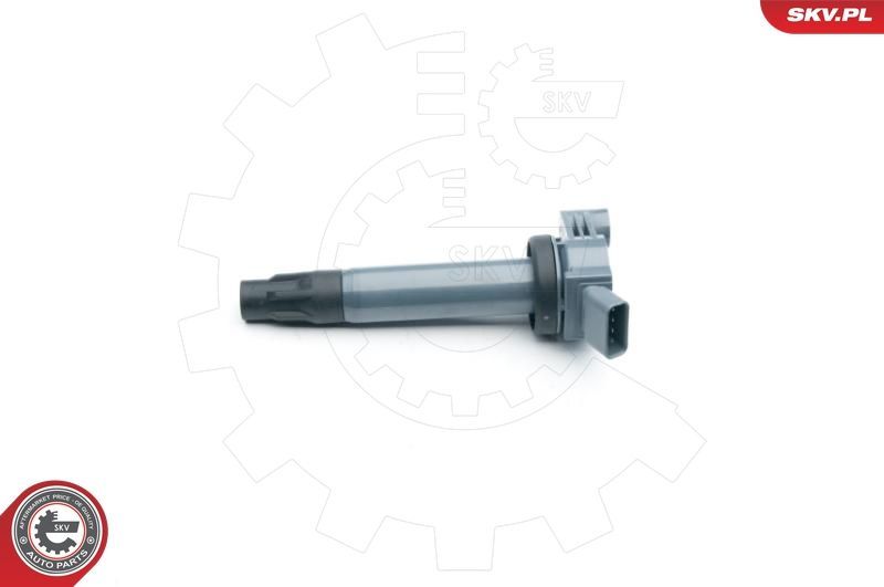 Ritė, uždegimas ESEN SKV 03SKV265