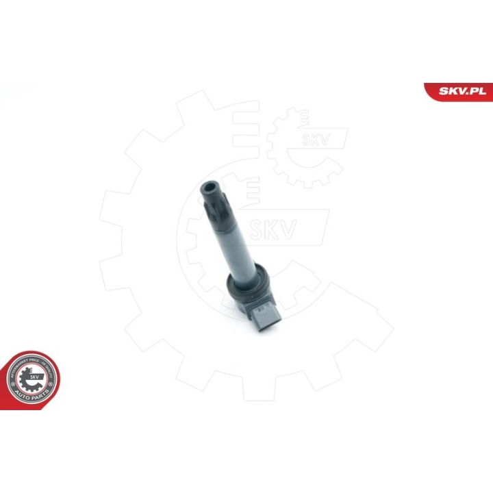 Ritė, uždegimas ESEN SKV 03SKV265