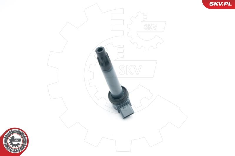 Ritė, uždegimas ESEN SKV 03SKV265