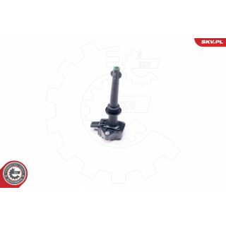 Ritė, uždegimas ESEN SKV 03SKV269