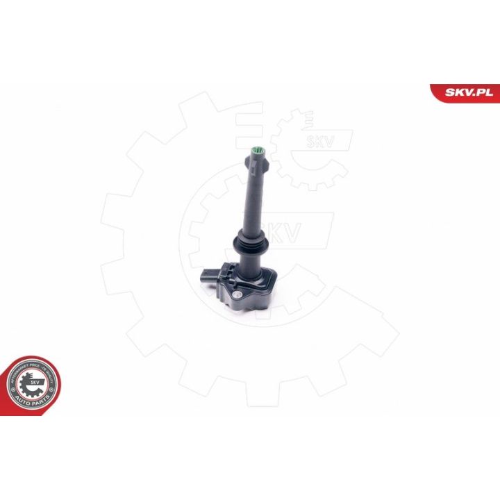 Ritė, uždegimas ESEN SKV 03SKV269