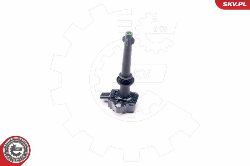 Ritė, uždegimas ESEN SKV 03SKV269