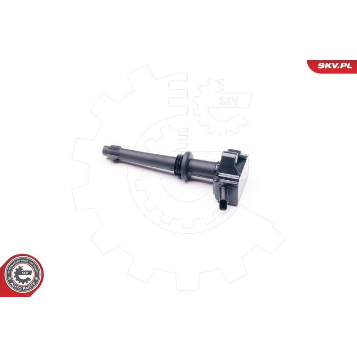 Ritė, uždegimas ESEN SKV 03SKV269