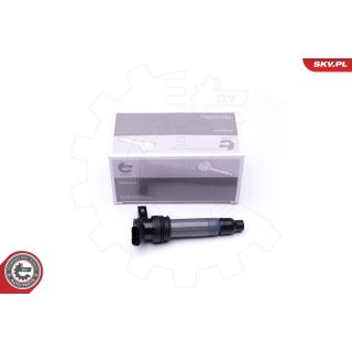 Ritė, uždegimas ESEN SKV 03SKV272