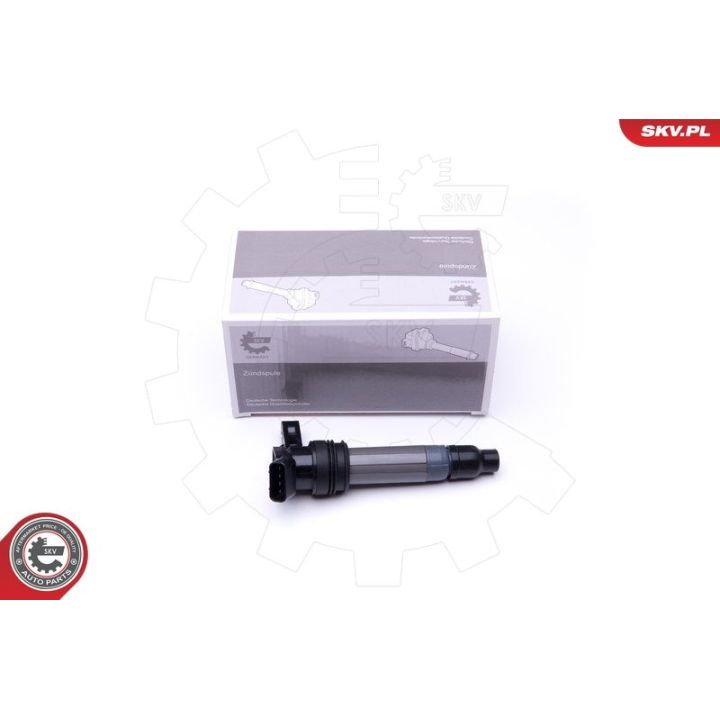 Ritė, uždegimas ESEN SKV 03SKV272