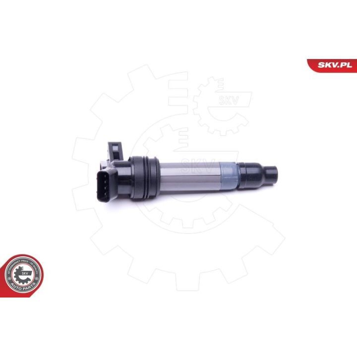 Ritė, uždegimas ESEN SKV 03SKV272