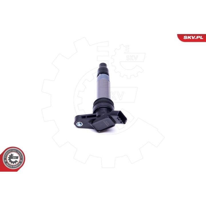 Ritė, uždegimas ESEN SKV 03SKV272