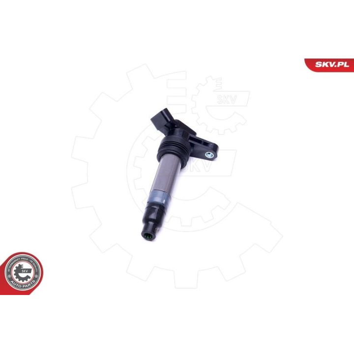 Ritė, uždegimas ESEN SKV 03SKV272