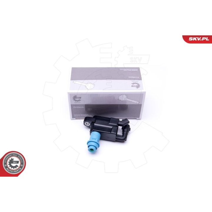 Ritė, uždegimas ESEN SKV 03SKV276