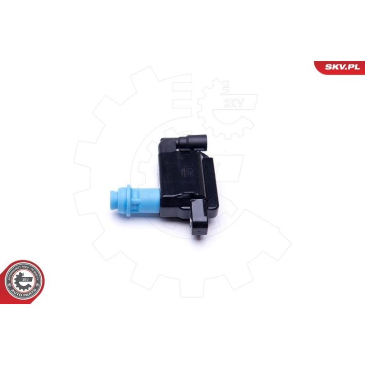 Ritė, uždegimas ESEN SKV 03SKV276