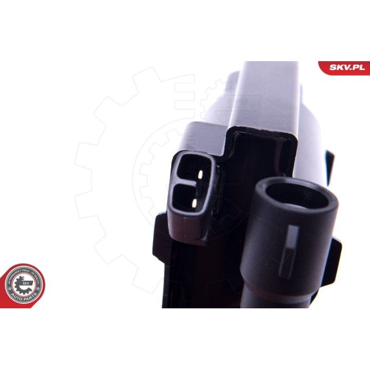 Ritė, uždegimas ESEN SKV 03SKV276