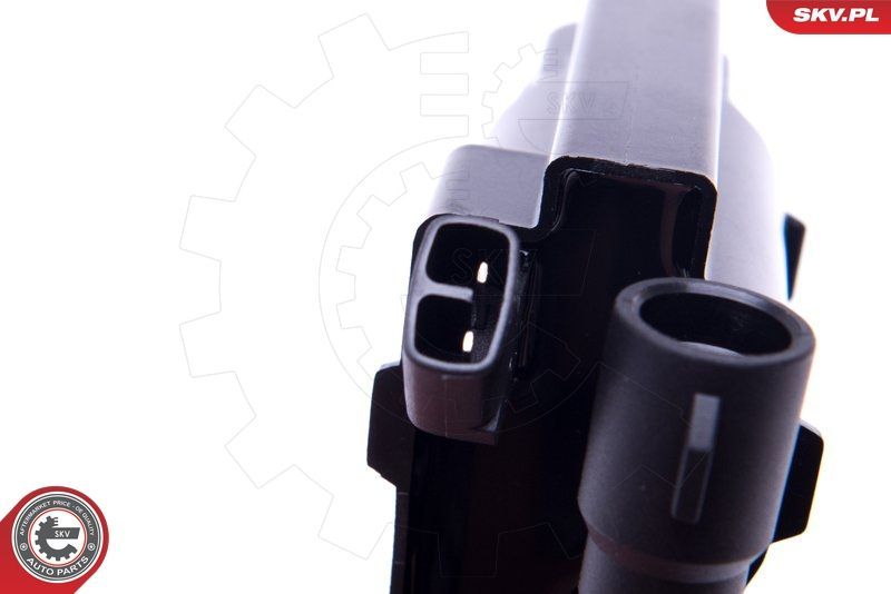 Ritė, uždegimas ESEN SKV 03SKV276