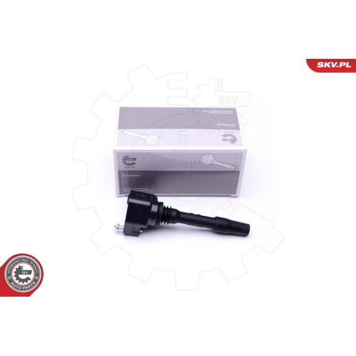 Ritė, uždegimas ESEN SKV 03SKV277