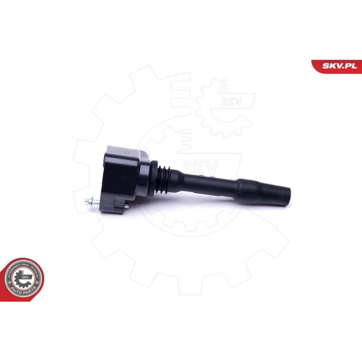 Ritė, uždegimas ESEN SKV 03SKV277