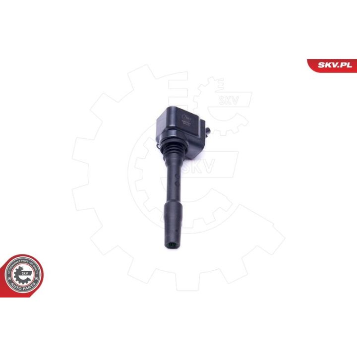 Ritė, uždegimas ESEN SKV 03SKV277