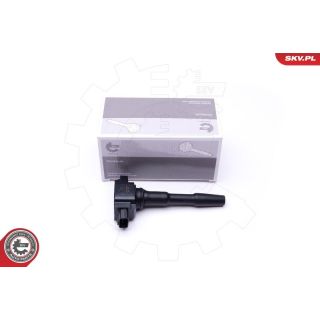 Ritė, uždegimas ESEN SKV 03SKV280