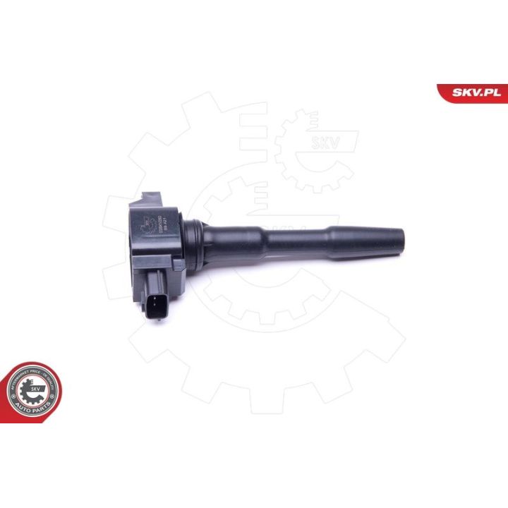 Ritė, uždegimas ESEN SKV 03SKV280