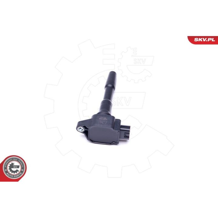 Ritė, uždegimas ESEN SKV 03SKV280