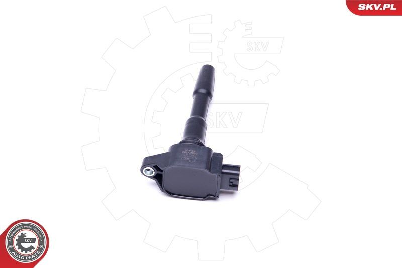 Ritė, uždegimas ESEN SKV 03SKV280