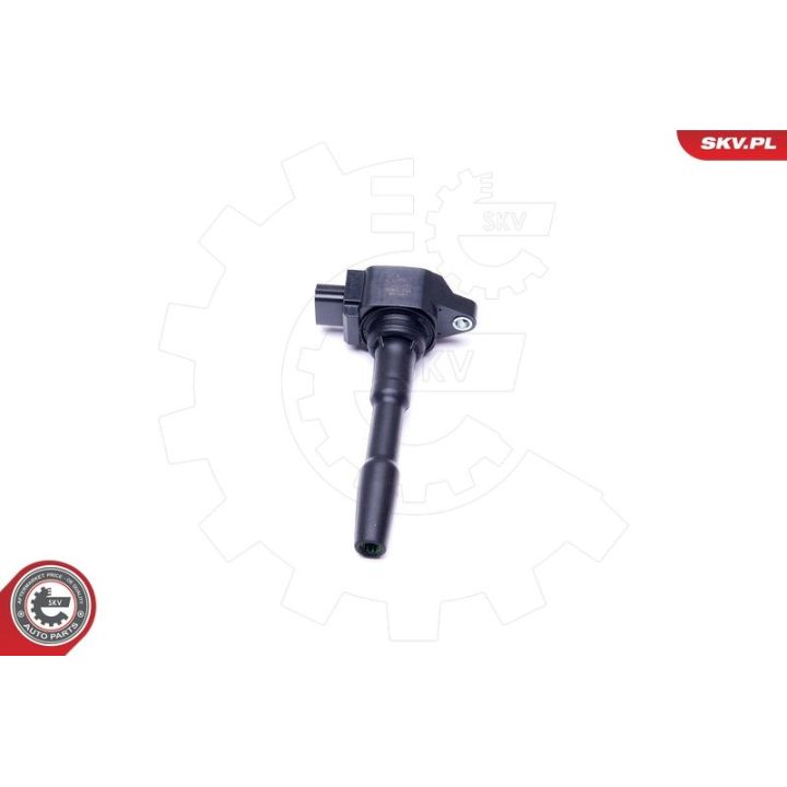 Ritė, uždegimas ESEN SKV 03SKV280