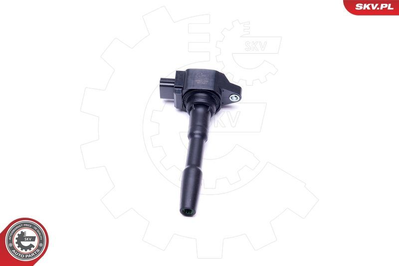 Ritė, uždegimas ESEN SKV 03SKV280