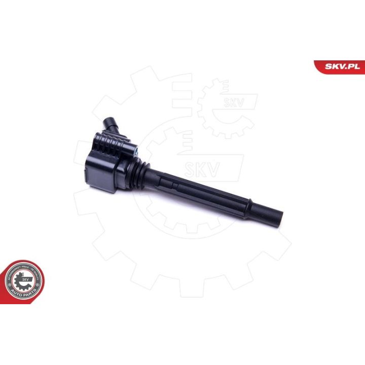 Ritė, uždegimas ESEN SKV 03SKV281