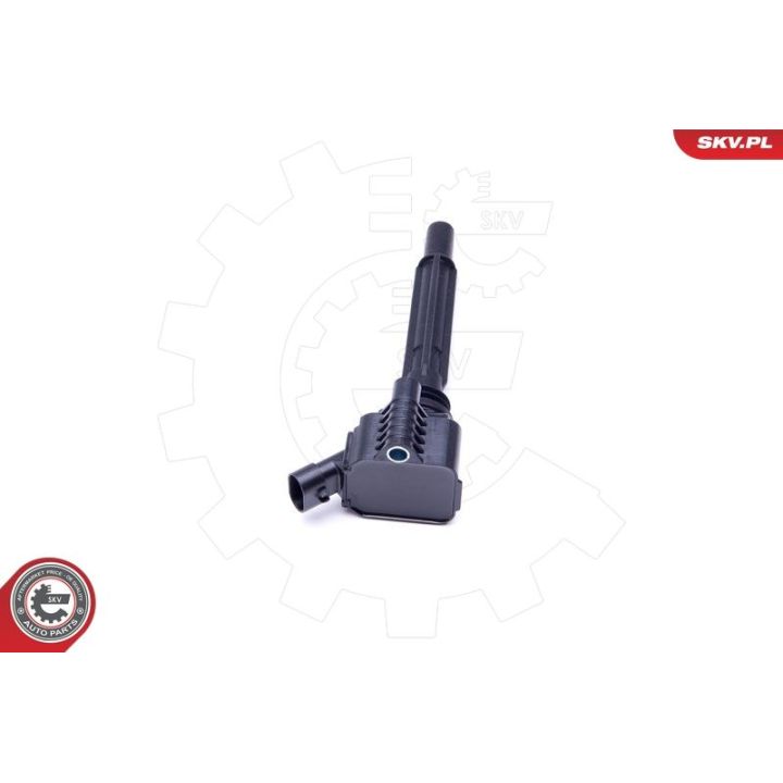 Ritė, uždegimas ESEN SKV 03SKV281