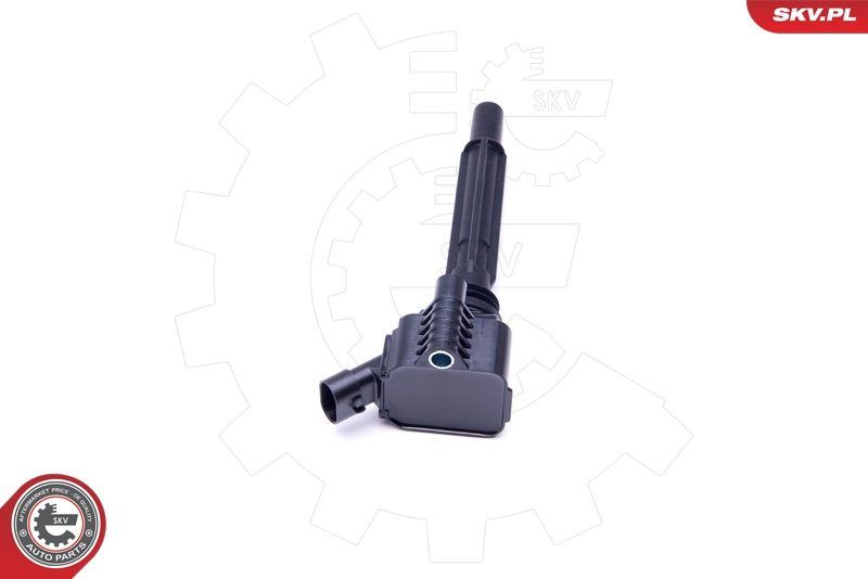 Ritė, uždegimas ESEN SKV 03SKV281