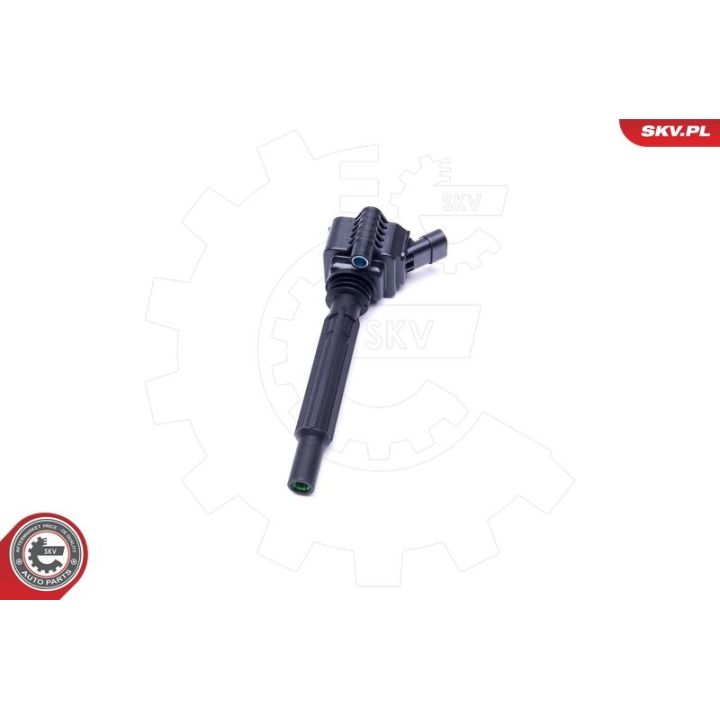 Ritė, uždegimas ESEN SKV 03SKV281