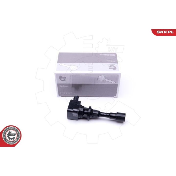 Ritė, uždegimas ESEN SKV 03SKV282