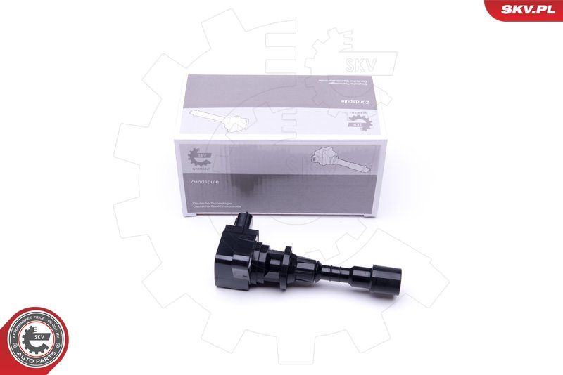 Ritė, uždegimas ESEN SKV 03SKV282