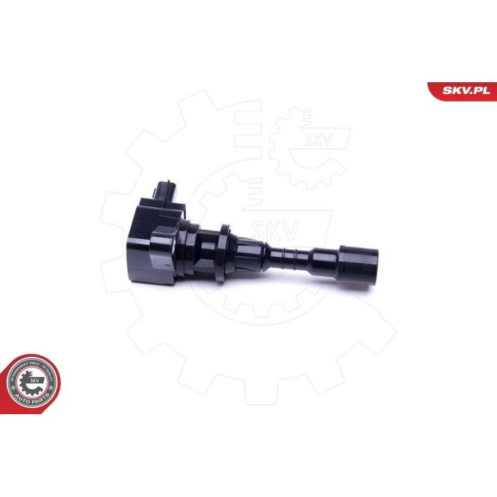 Ritė, uždegimas ESEN SKV 03SKV282