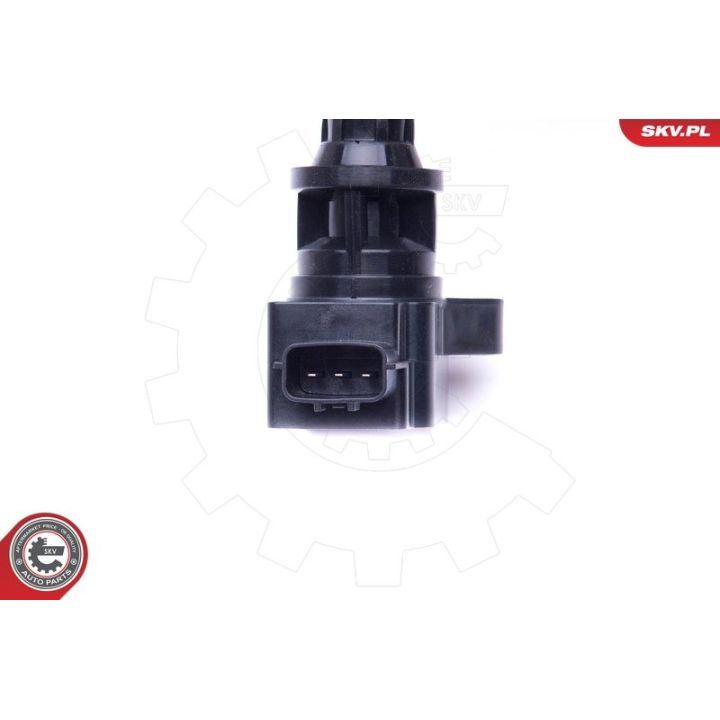 Ritė, uždegimas ESEN SKV 03SKV282