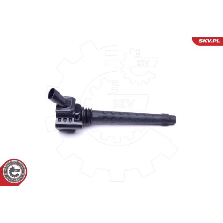 Ritė, uždegimas ESEN SKV 03SKV283