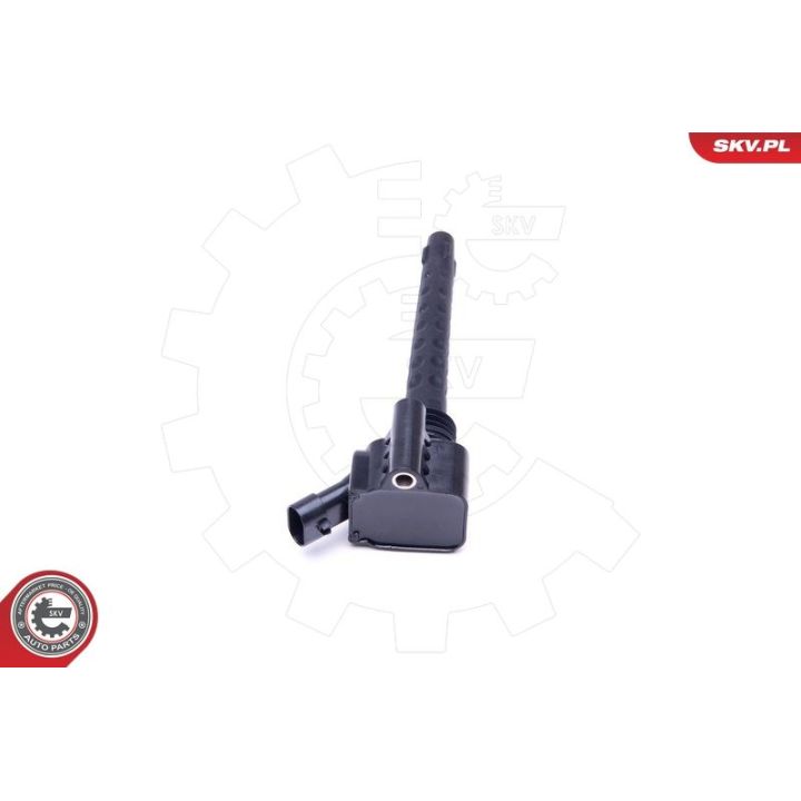 Ritė, uždegimas ESEN SKV 03SKV283